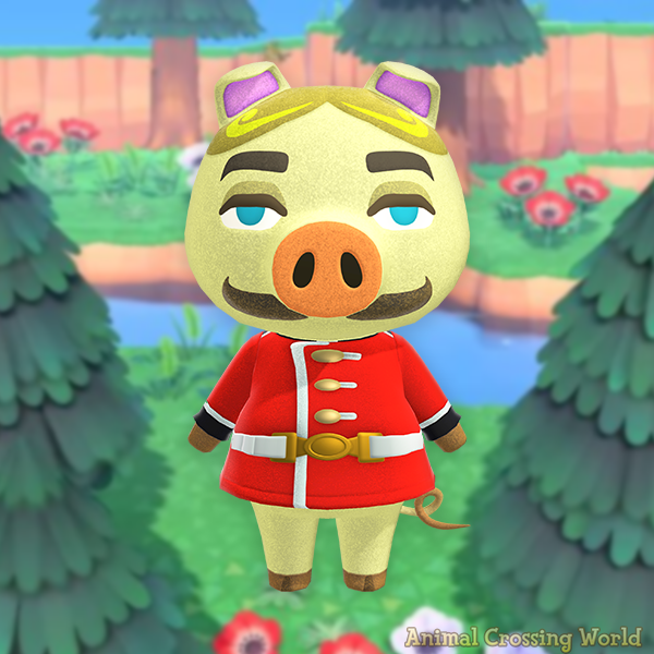 ACWorldBlog's tweet photo. Happy Birthday to Chops! 🎉🐷 https://t.co/oFuxCQgsKv