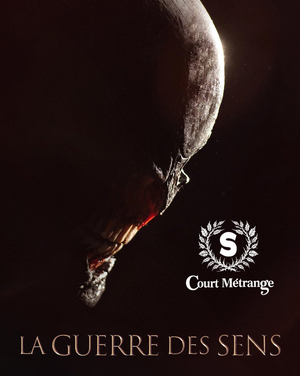 shadowzvod's tweet photo. Nous sommes très heureux de remettre le Prix Shadowz de @courtmetrange 2026 à La Guerre des Sens de Raoul Dattola.

Au cœur des bois, une photographe est prise en chasse par une créature aveugle, dont tous les autres sens sont surdéveloppés...

Prochainement sur Shadowz ! https://t.co/ntbLFLyZp5
