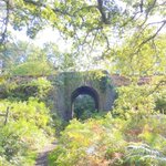 Photo by Alison Glasspool (@AlisonGlasspool)