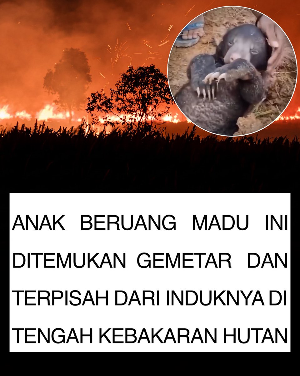 recehtapisayng's tweet photo. https://t.co/wgqohsueDI