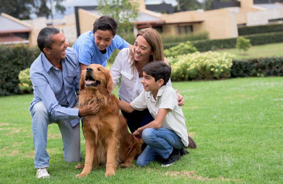 Valpak's tweet photo. The places that keep tails wagging rely on neighbors who know where to find them. Valpak puts their offers right in the mailbox, where pet parents (and the occasional curious nose) can’t miss them: https://t.co/r4FEyZLMnP

#PetCare #PetBusiness https://t.co/B9oiz5KOlP