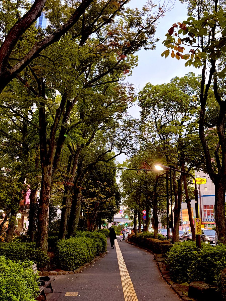 AndyTak1984's tweet photo. リフレッシュがてらの夕暮れ散歩。
近所の緑に癒されながら。 https://t.co/aGaXL20453