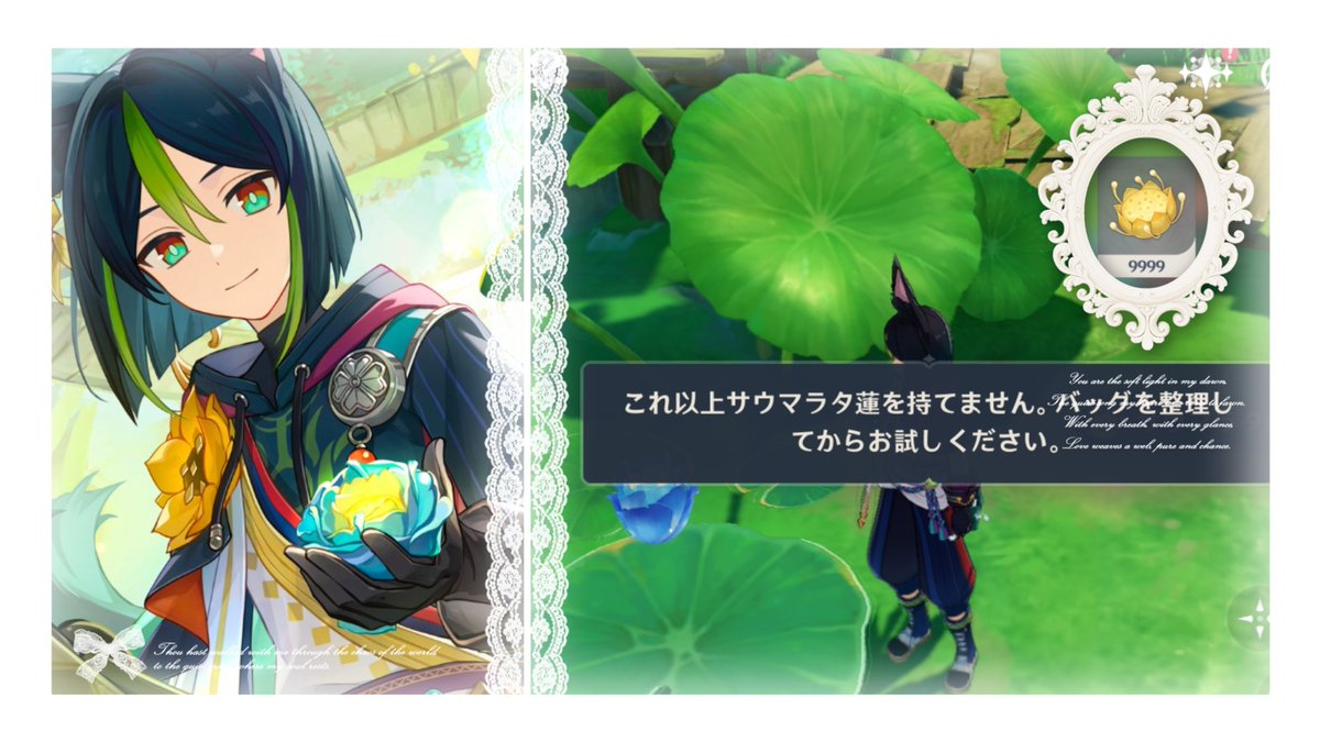 tag12_29's tweet photo. サウマラタ蓮カンスト🪷 https://t.co/BEseqfUxKa