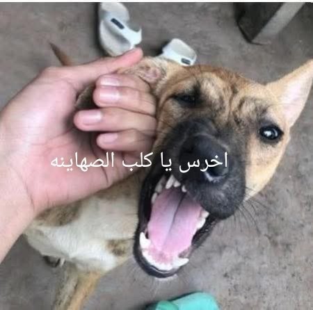 alyemen911's tweet photo. @Alqadasiii99 @20Yusef20 https://t.co/YC4EzdyYOn