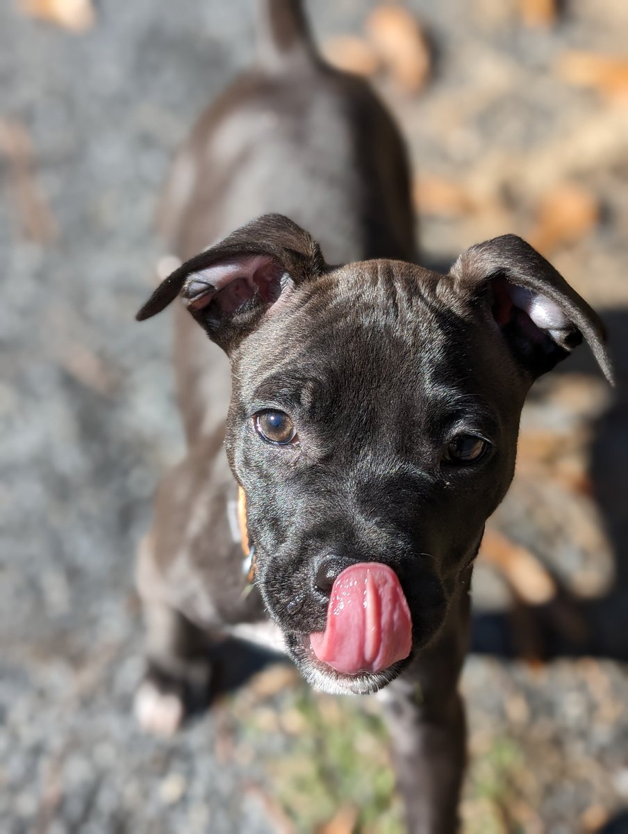 DidUGo2026's tweet photo. #tongueOutTuesday everyone https://t.co/5DqvRIi3Rj