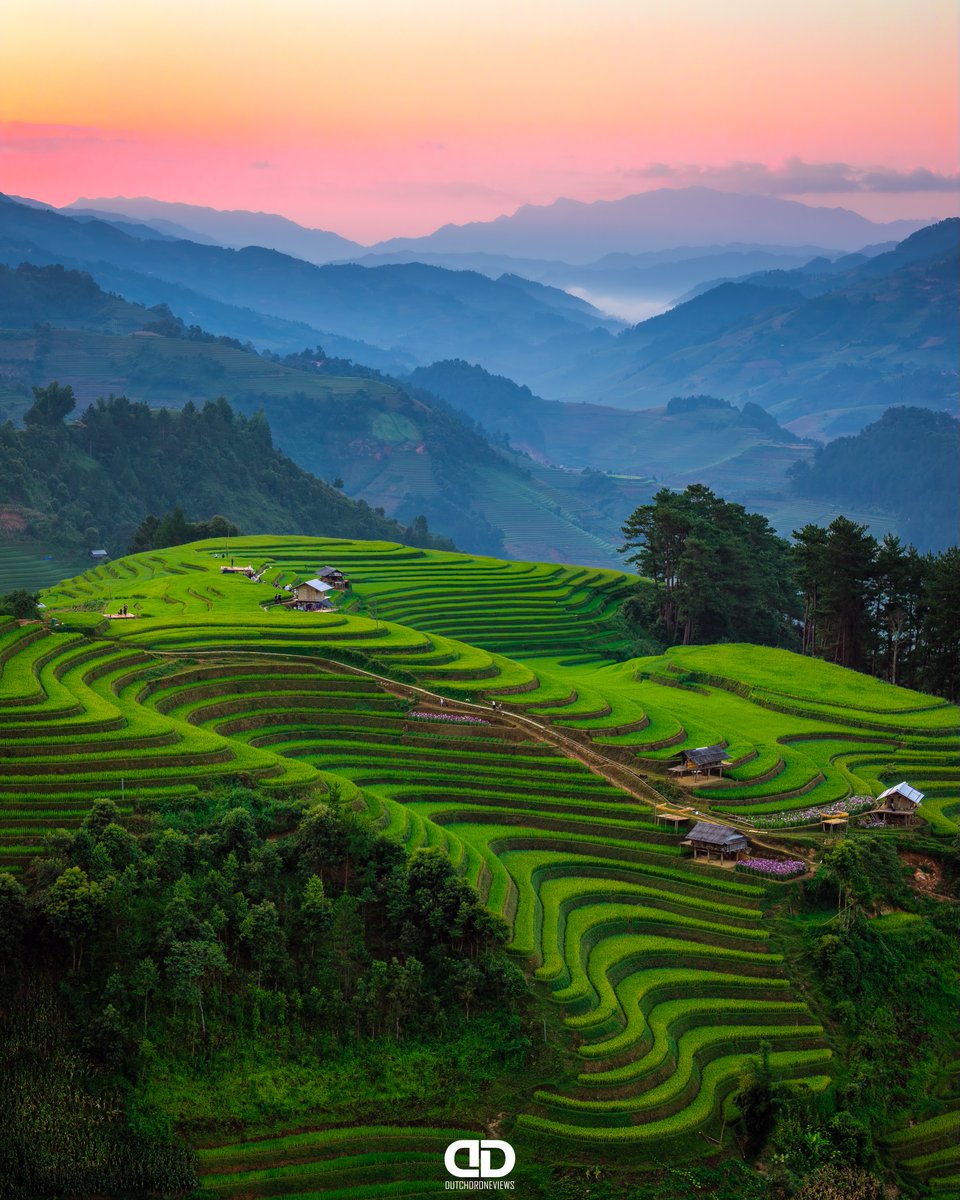 AnaCris01223285's tweet photo. Northern Vietnam unfolds in endless layers: rice terraces shaped by generations, lush mountains, hidden valleys, and clouds drifting across distant peaks. One frame, countless stories. https://t.co/sYTUaDy8iq