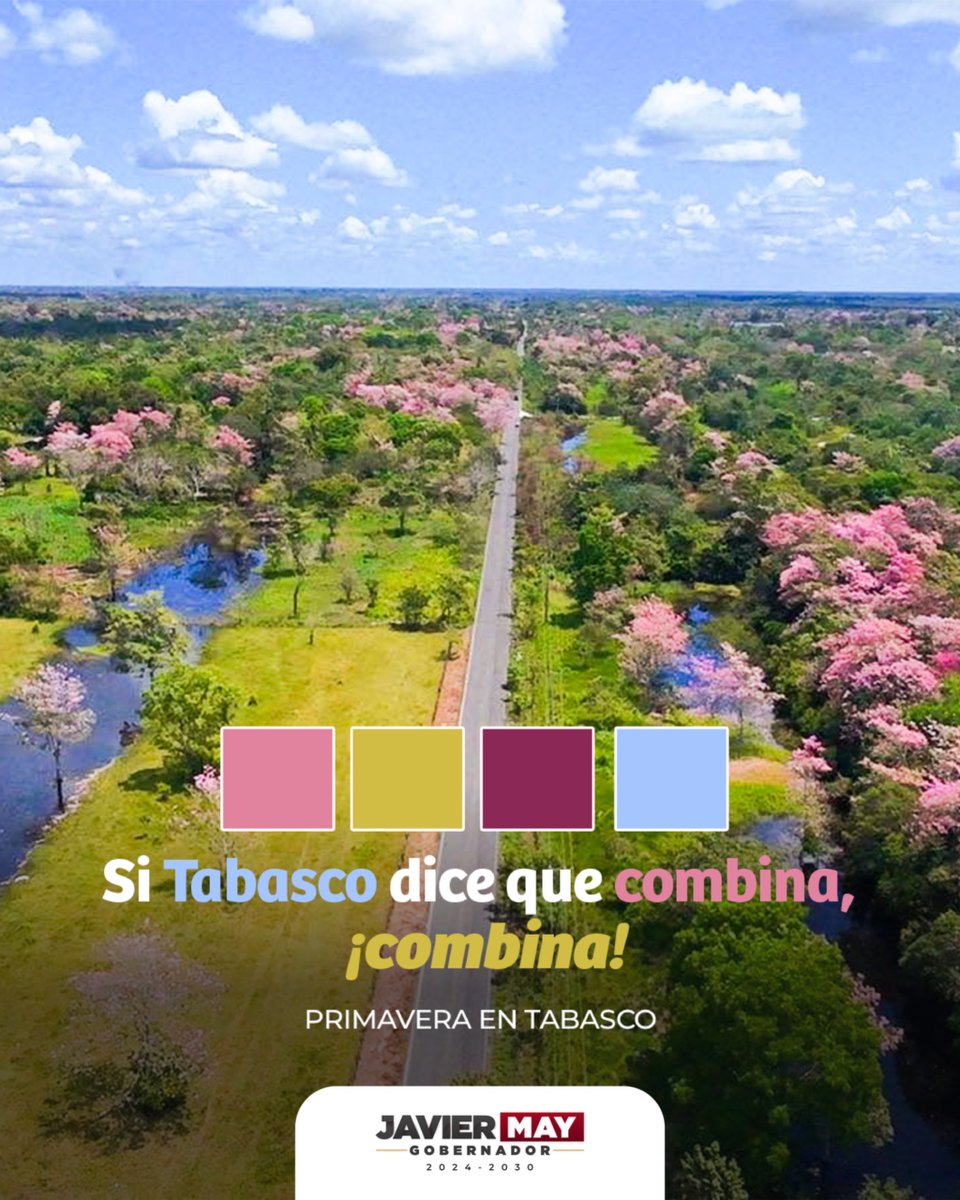 TabascoJavier's tweet photo. https://t.co/E6e2PmRgiZ