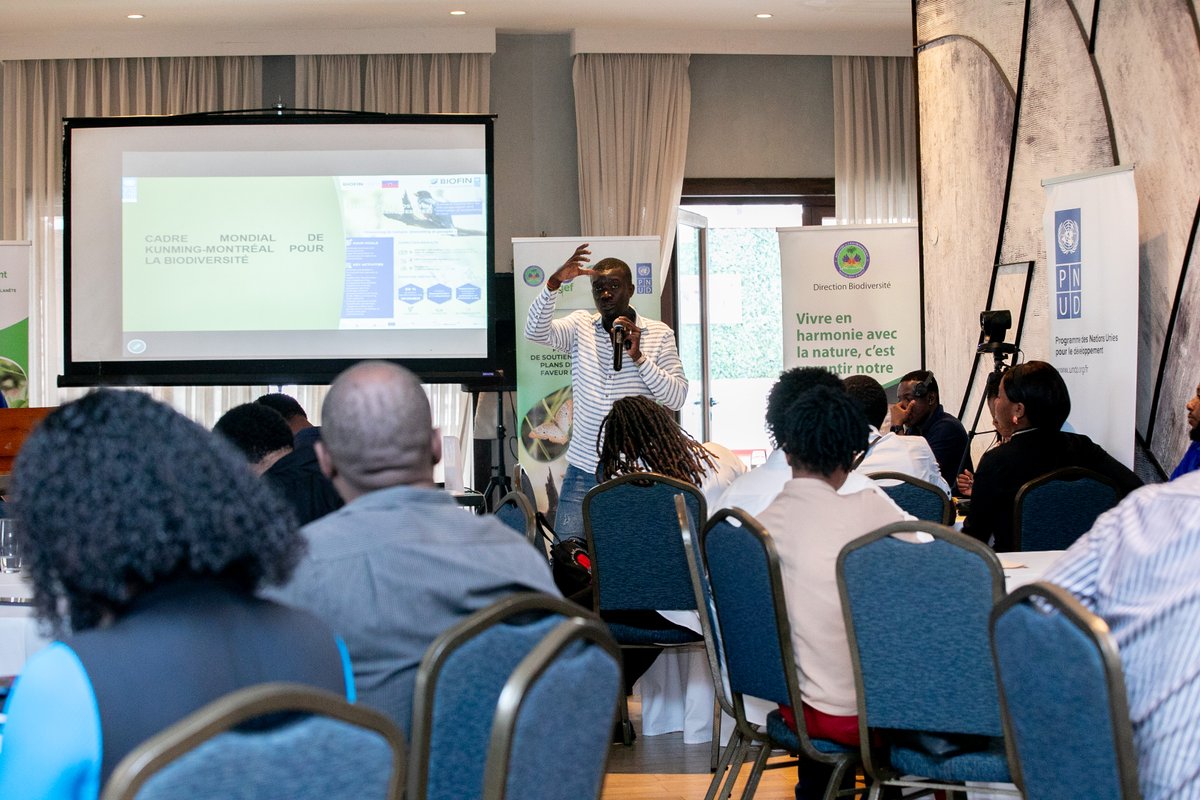 undphaiti's tweet photo. Au terme de la dernière journée de l’atelier, les acteurs clés ont consolidé les recommandations et les messages qui guideront la participation d’Haïti à la #COP17, où sera évaluée la mise en œuvre du Cadre mondial de la biodiversité de Kunming-Montréal. https://t.co/6JwP8Ym0td