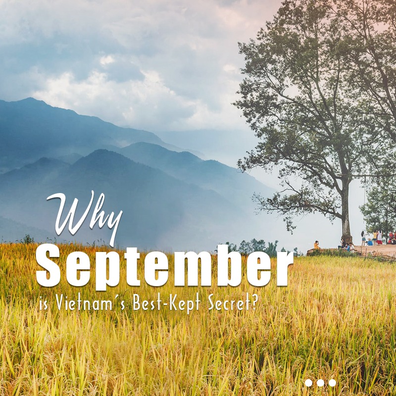 cHiTLenBiiq's tweet photo. September is Northern Vietnam’s hidden gem: golden rice terraces in Mu Cang Chai and Sapa, emerald rivers in Ninh Binh, and Hanoi’s cozy autumn charm, all with fewer crowds and ideal weather. https://t.co/RhfhmfjmSL