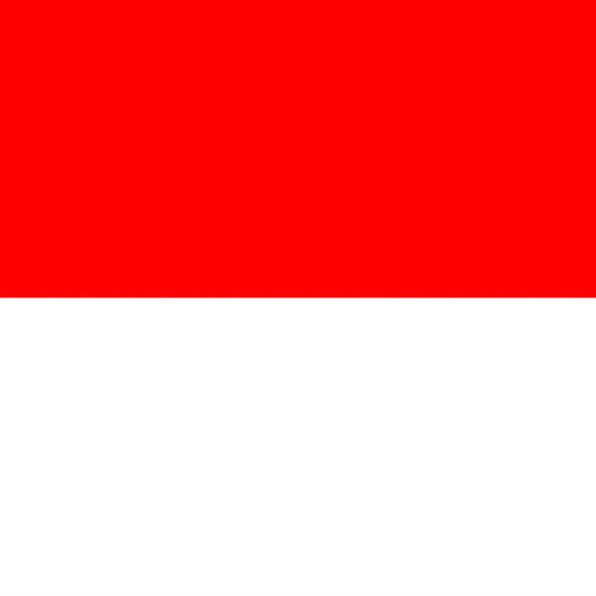 iPopBase's tweet photo. The Indonesian government plans to distribute free smartphones with digital bank accounts to unbanked citizens aged 17 and above.

(https://t.co/JqAUuwwzHx) https://t.co/AOpmcGufav