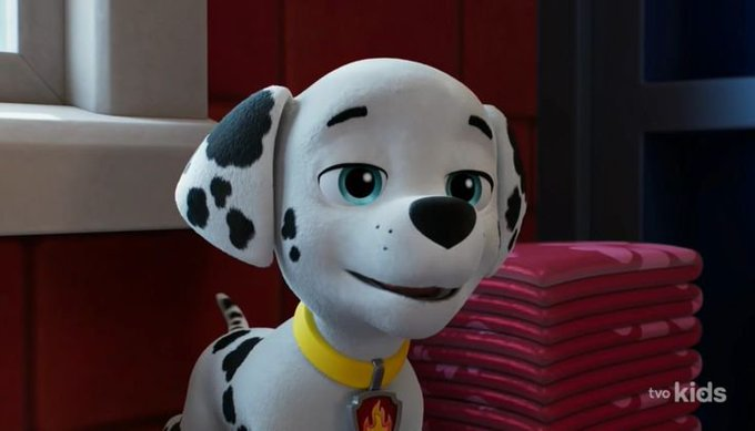 hoangkhang5686's tweet photo. cute Marshall #pawpatrol https://t.co/WkY1WQvUq1