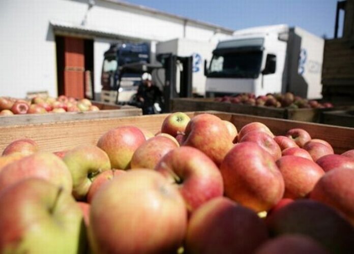 MasContainer's tweet photo. La #logística portuaria gana peso en el comercio español de #frutas https://t.co/JXwfP252wf @PuertosEstado https://t.co/lDusLuA6Qz
