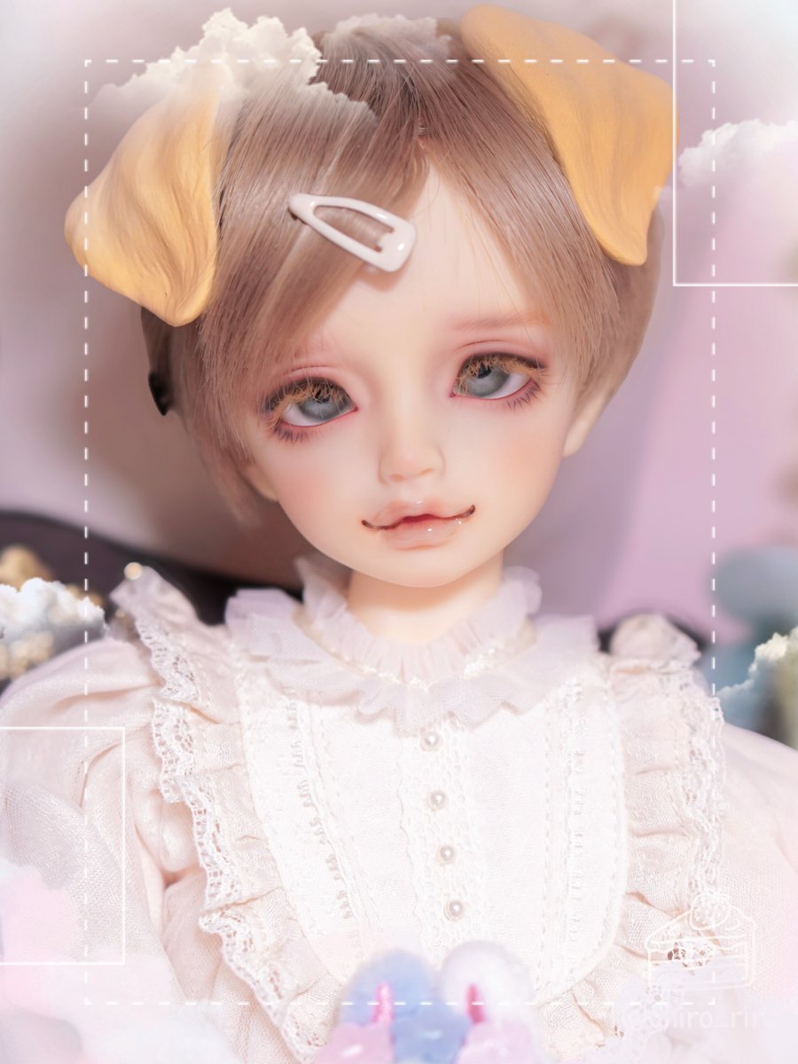 Shiro_riro's tweet photo. わんわん天使🐶

#うちのこかわいい https://t.co/GzqcY2VQhX