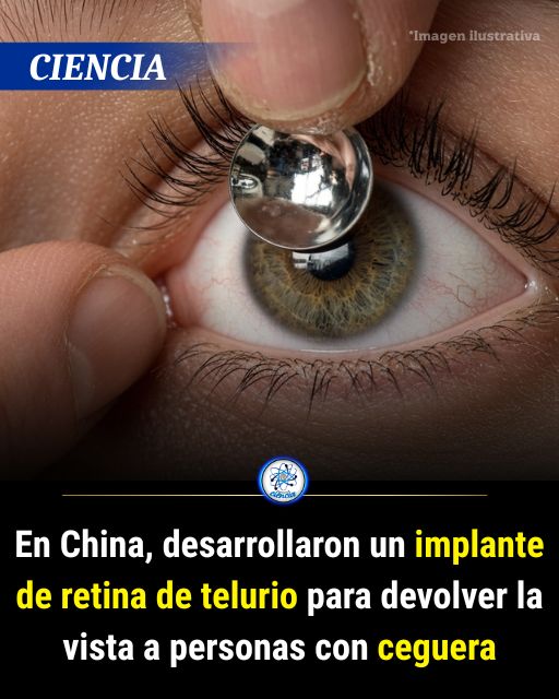 EnsedeCiencia's tweet photo. Un equipo de científicos chinos ha conseguido crear un nanoimplante elaborado de telurio, el cual fue capaz de devolverle la vista a primates y ratones. El telurio es un elemento químico de la serie de los metaloides que no tiene efectos negativos sobre la salud https://t.co/AqPZjOzEIt