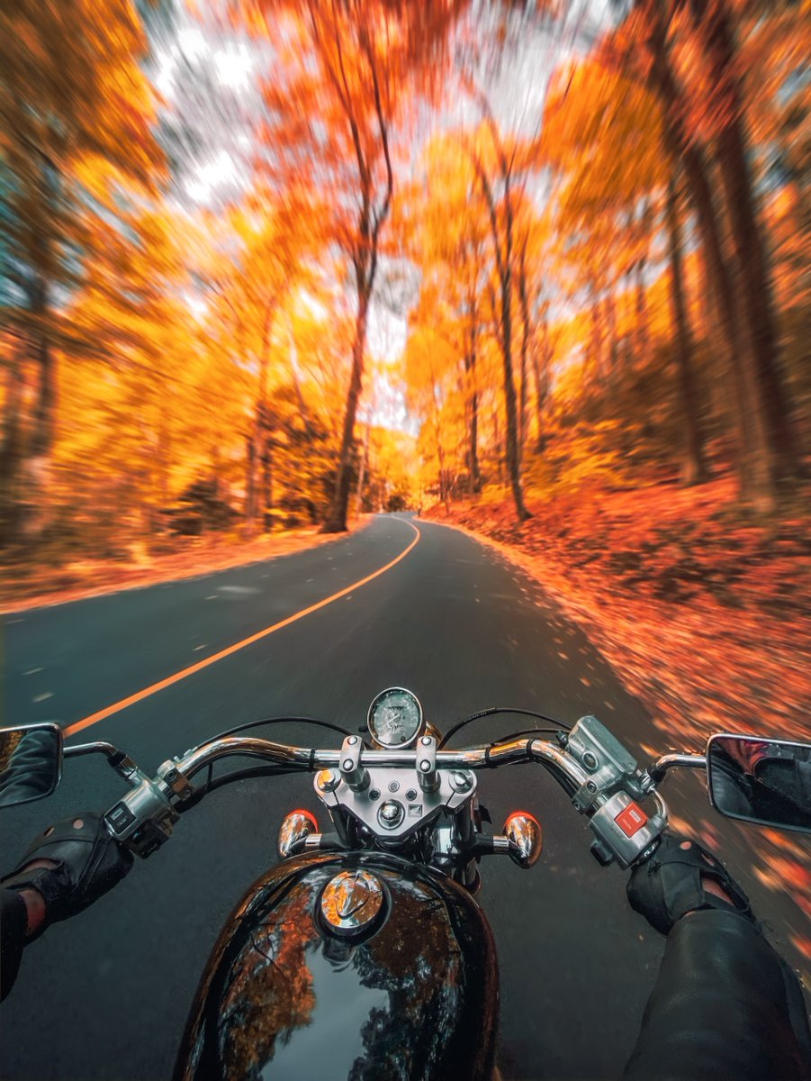earthserenityy's tweet photo. Autumn vibes https://t.co/65I02GxNDI