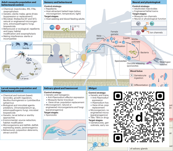 NatureRevMicro's tweet photo. New online! Mosquito-based malaria control through genetic, microbial and immunological innovations dlvr.​it/TVv94h https://t.co/N7AKq8yXh9