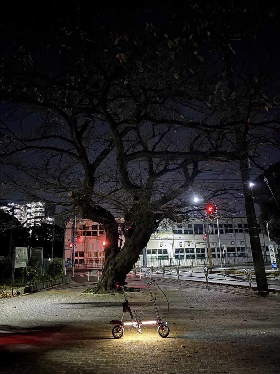 fe26east's tweet photo. 定点観測 夜の部
帰って何か出来るだろうか🥱
#carryme
#輪行通勤 https://t.co/2LJ7Dr8GlE