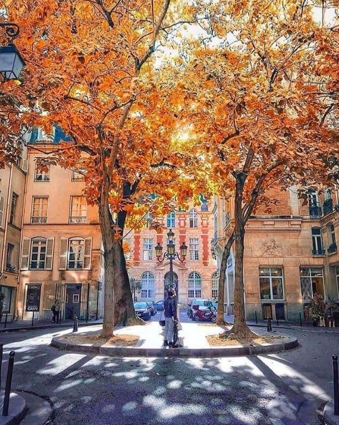 VIParis tweet picture