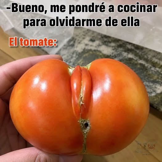 LAPULGATUSA's tweet photo. https://t.co/ANMnjASjGC