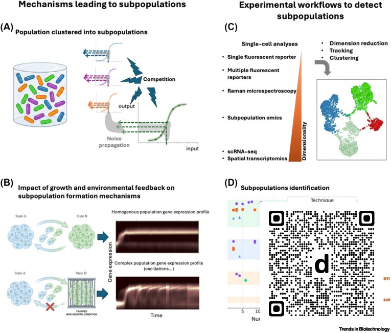 TrendsinBiotech's tweet photo. Online now: Subpopulation networks: a scaling principle for engineering living systems dlvr.​it/TVv9vr https://t.co/s69IodkJxm