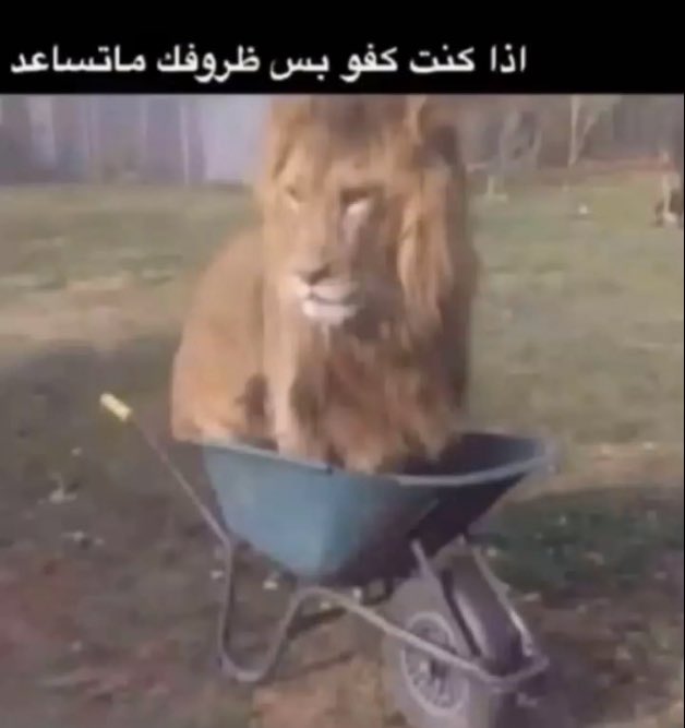 atii0o's tweet photo. ابغى اتبرع لكن وزني تحت الخمسين https://t.co/N9RWja8jmM