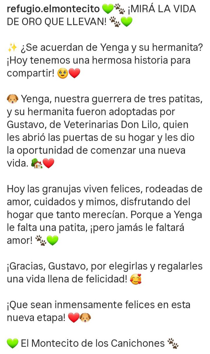 MisVaquerita32's tweet photo. Se acuerdan de Yenga y su hermanita? 
Fueron adoptadas 🐶🐶💕 
Una hermosa historia llenita de amor! 
El MONTECITO d los @canichones https://t.co/6W2cScwFfh