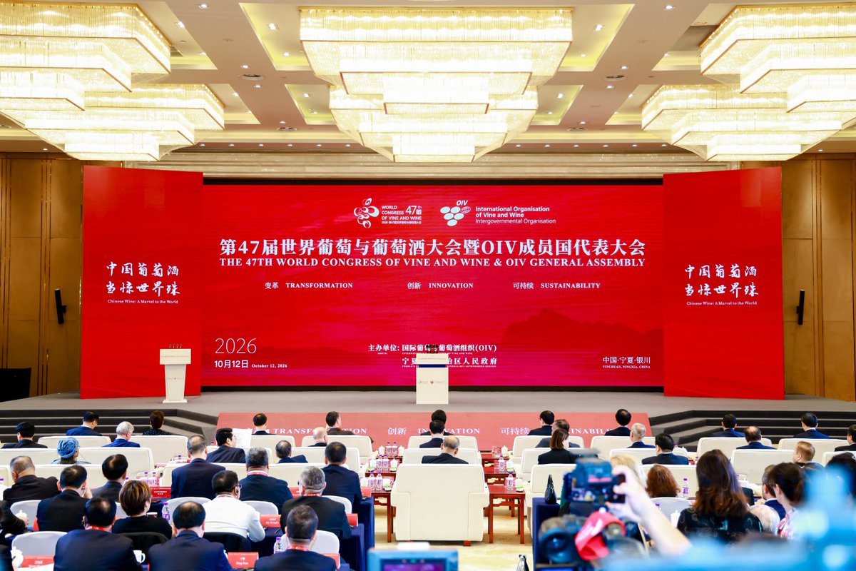 BlueberryTV3's tweet photo. The 47th World Congress of Vine and Wine opened today in Yinchuan, Ningxia, China's top wine-producing area.
For the first time in a century, the Congress comes to China and Asia, held alongside the 24th General Assembly of the International Organization of Vine and Wine (OIV). https://t.co/91uFJV2lSp