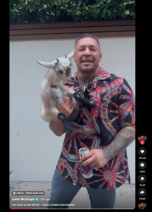 leydev_'s tweet photo. THIS IS HUGE....

CONOR MCGREGOR JUST BOUGHT A NEW PET GOAT AND HAS CALLED IT "Goatiana"!!!!

Conor has just put out his first ever TikTok out with his new pet goat called "Goatiana"

Millions of views already just this morning alone....This is about to be fucking huge

Just like with Mike Tyson and his Tiger, Michael Jackson with his Monkey and now Conor with his GOAT

https://t.co/FQBZbKk1XK