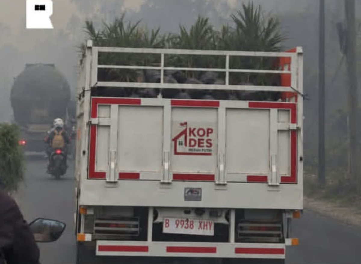 TanyarlBase's tweet photo. Kalimantan masih berkabut asap dihiasi truk kop*des bermuatan sawit 💚 https://t.co/eKciaRknly