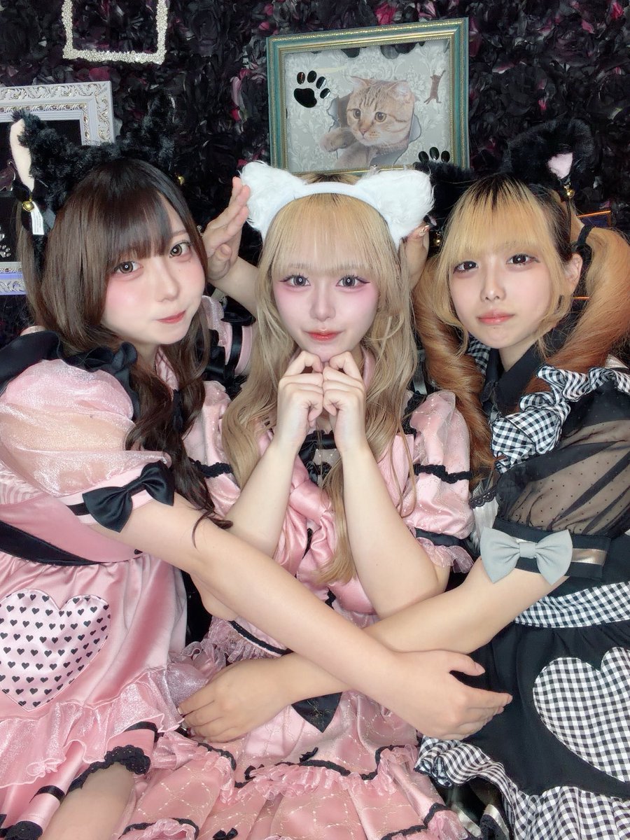 naru_kispk's tweet photo. オープンまであと3日✨
@love_kispk @peko_kispk 
かわいい2人とお写真とったよ🩵
可愛いネコプリたちに会いに来て🐱ᩚ💖
 
 #コンカフェ  #すすきの  #コンカフェ嬢 https://t.co/XxWZkC07R6