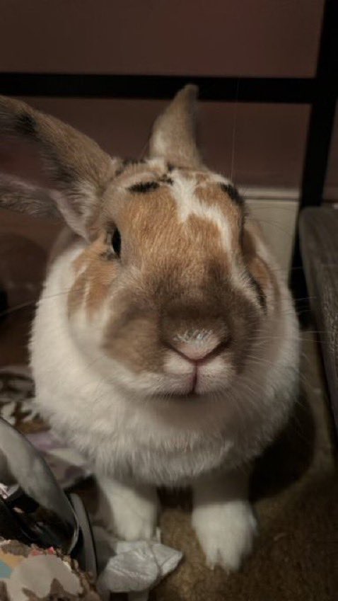 paddyloaf's tweet photo. https://t.co/4ilGmEwhXo