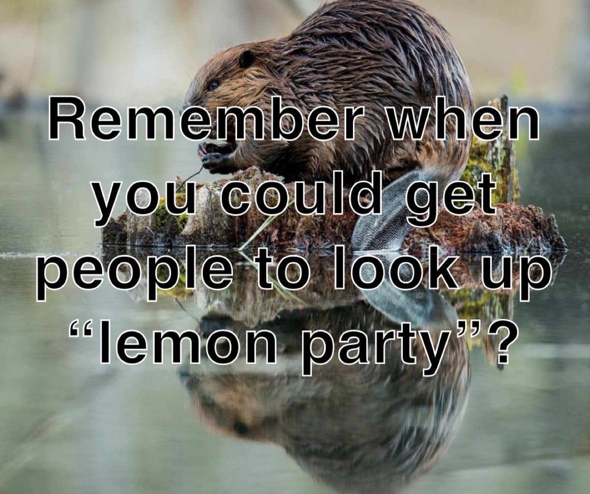 continuequote tweet picture