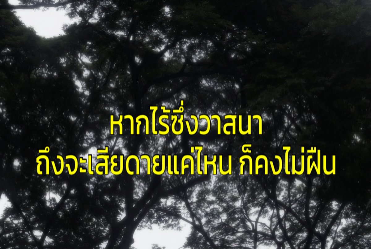 23jpeg's tweet photo. . https://t.co/msFk0olfuJ