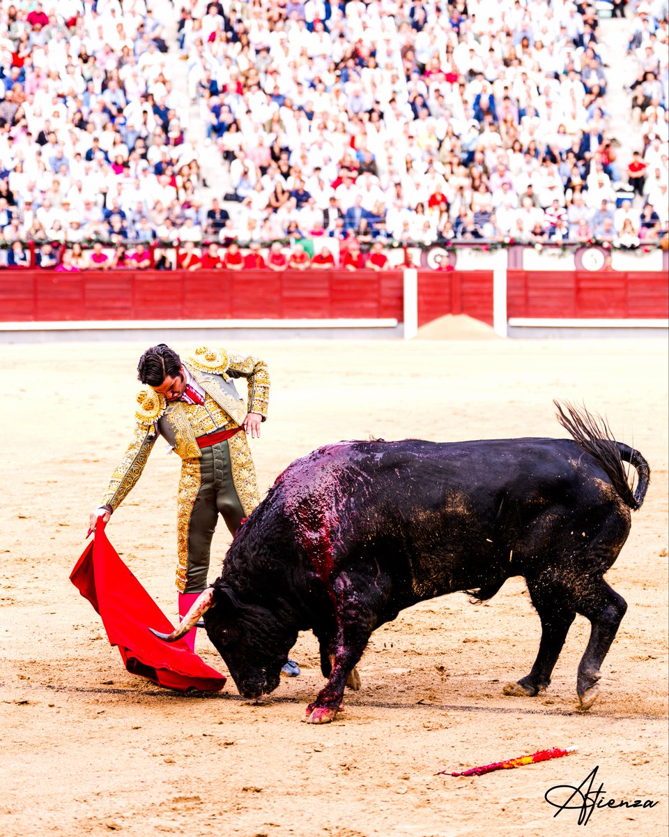 Atienza_Edu's tweet photo. 📸 • Morante de La Puebla. Madrid 2026.
•
•
•
Fotografías originales de Edu Atienza.
#Toros #Cultura #Madrid https://t.co/tQrxcGpW2V