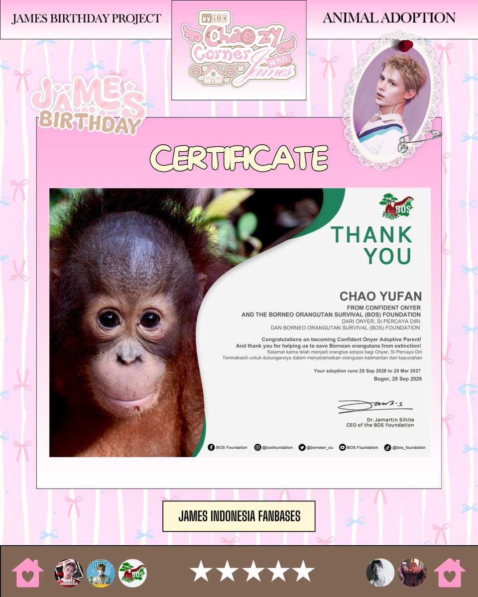 JAMES_IDN's tweet photo. [🏠] 2026 JAMES’ BIRTHDAY PROJECT | Orangutan Adoption

Di tengah ancaman deforestasi dan kebakaran hutan yang merusak habitat orangutan, upaya pelestarian menjadi semakin penting. Karena itu, kami memilih adopsi orangutan sebagai bagian dari perayaan ulang tahun James, sekaligus sebagai wujud kasih yang tak hanya dirayakan, tetapi juga dibagikan kepada sesama makhluk hidup. Kami mengadopsi seekor orangutan bernama 'ONYER', atas nama pengadopsi 'CHAO YUFAN'.

Onyer diselamatkan dari Desa Dahian Tambuk, Kabupaten Gunung Mas, Kalimantan Tengah, dan dibawa ke Pusat Rehabilitasi Nyaru Menteng saat berusia 10 bulan. Awalnya, ia merasa takut dan kesulitan beradaptasi. Namun, melalui perawatan dan rehabilitasi, Onyer berangsur membaik dan mulai aktif bermain, memanjat, serta berinteraksi dengan lingkungannya.

Melalui proyek ini, kami berharap dapat meningkatkan kesadaran akan pentingnya melindungi orangutan dan habitat alaminya. Semoga langkah kecil ini menjadi wujud cinta untuk James sekaligus menginspirasi lebih banyak orang untuk peduli terhadap satwa liar❣️

— Organized by @JAMES_IDN, @.jamesteamid & @.jamesspace_ina

— Thanks to our sponsor @keonhorated @.jamnana_ssi and all media partners♡

AN OCTOBER MIRACLE NAMED JAMES

#Happy21andOnlyJAMES
#제임스의_빛이_차오르길