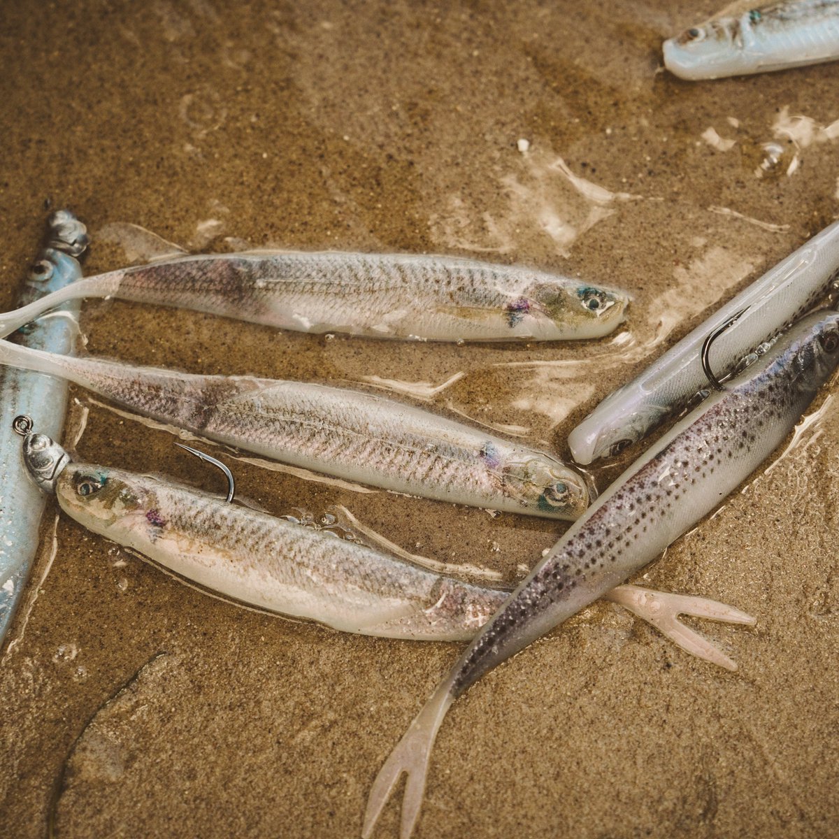 6thsensesalt's tweet photo. Some details speak for themselves.

A closer look at the natural patterns and lifelike finishes of the Shindo Live Colorways.

#6thsensesaltwater #6thsense #6thsensefishing https://t.co/qhr6YBMGmg