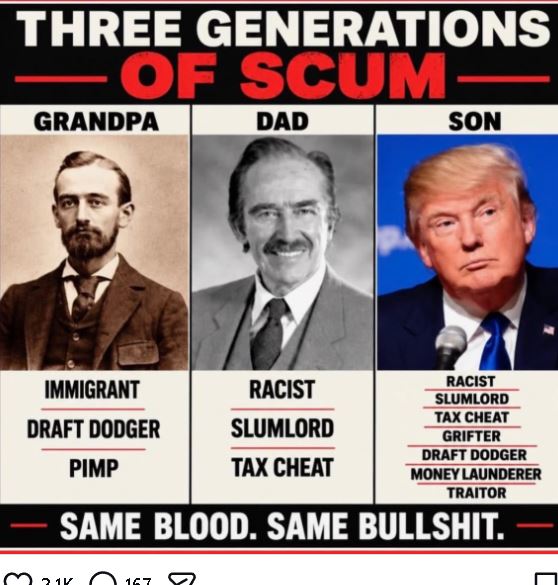 MetzgerKen31361's tweet photo. trump is so dangerous ? its in genes of fascism , his favorite person in world is Hitler, is US this fucking stupid Yes , trump following a script 100% of a dictator tyrant , war on IMMIG .economy, trade ,tariffs ,energy ,civil, freedoms ,all safety nets, voting, GOP SCUMBAGS https://t.co/WmYQLNAdRc