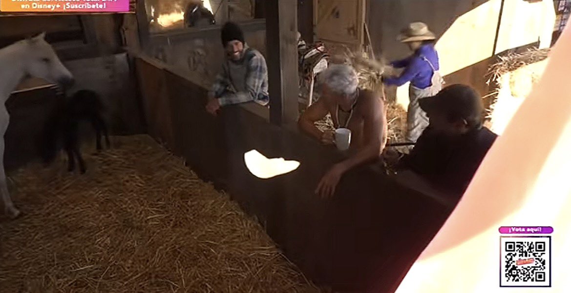 lynettesaren's tweet photo. Julio ya había lastimado a un caballo y hoy se metió al corral de la yegua y su bebé cuando ya les habían dicho que no podían. Este señor es un peligro para los animales, pero parece que en esta temporada los animales son los que menos importan. #LaGranjaVIP #LaGranja #GranjaVIP https://t.co/m18VyeOSot