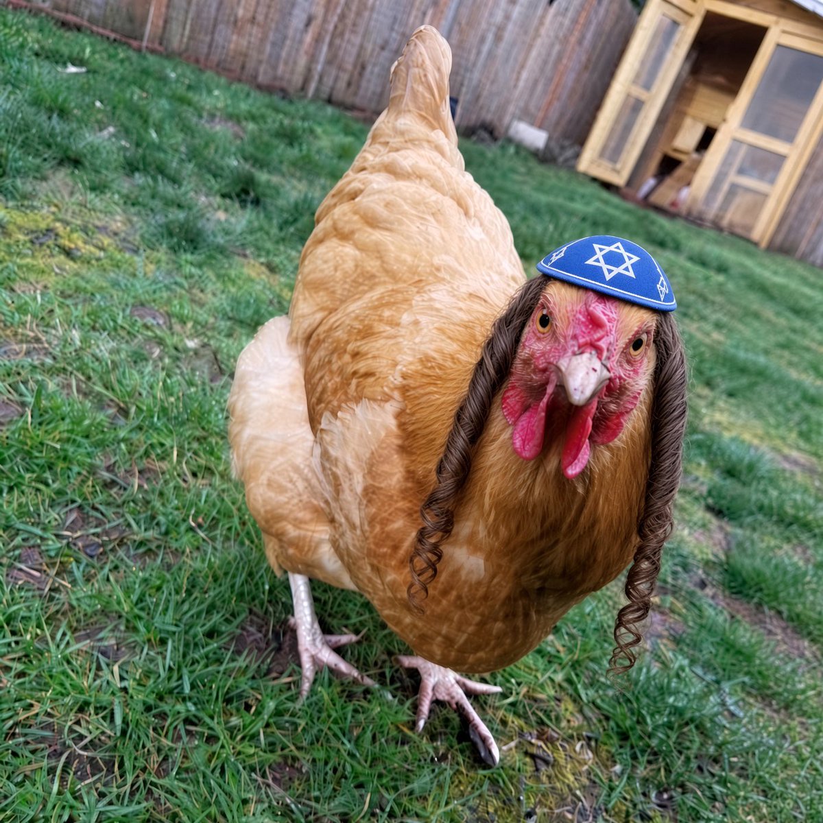 whereisBarnesy's tweet photo. @netanyahu If you saw this same chicken walking down the street, would you still swing it? https://t.co/3IG1Q4sImF