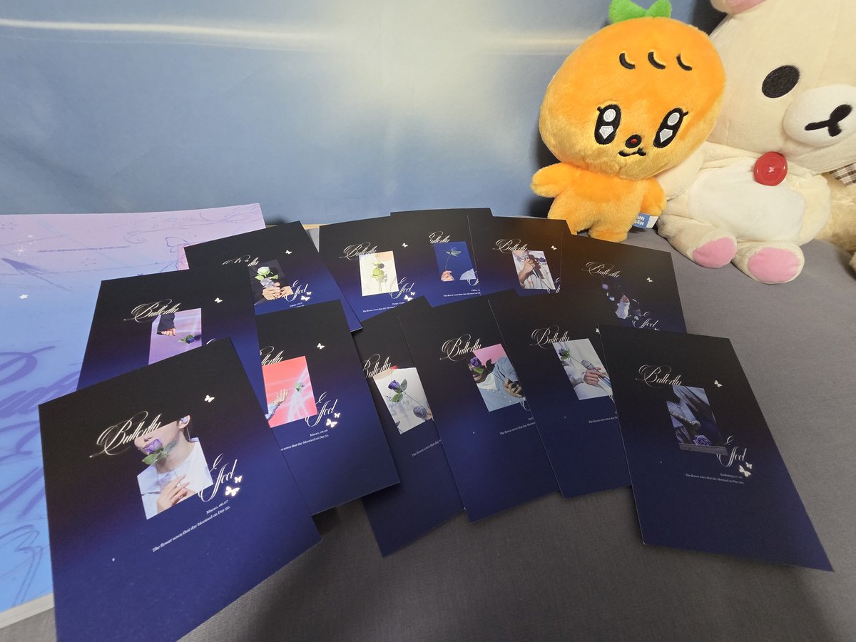 BBoo_ice16's tweet photo. 포토북!!! 꺼내면서 두께에 엄청 놀랐어요!
예쁜 승관이를 이렇게 듬뿍 담아주셨다니🥺
같이 보내주신 포스터도 너무 예뻐요~
특히 엽서마다 그날 그날 승관이가 들었던 장미랑 공연장소 날짜까지 뒷편에 넣어주셨는데 엄청 신경써서 만들어주신게 느껴져서 너무 좋았어요!
항상 감사합니다🥰
@sight_svtsk