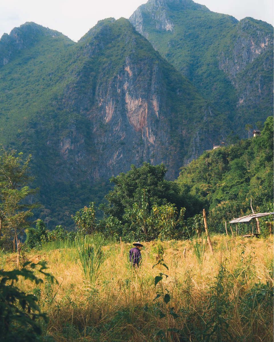 WCapriel's tweet photo. Farmer in the mountains https://t.co/IcsEC66Y5o