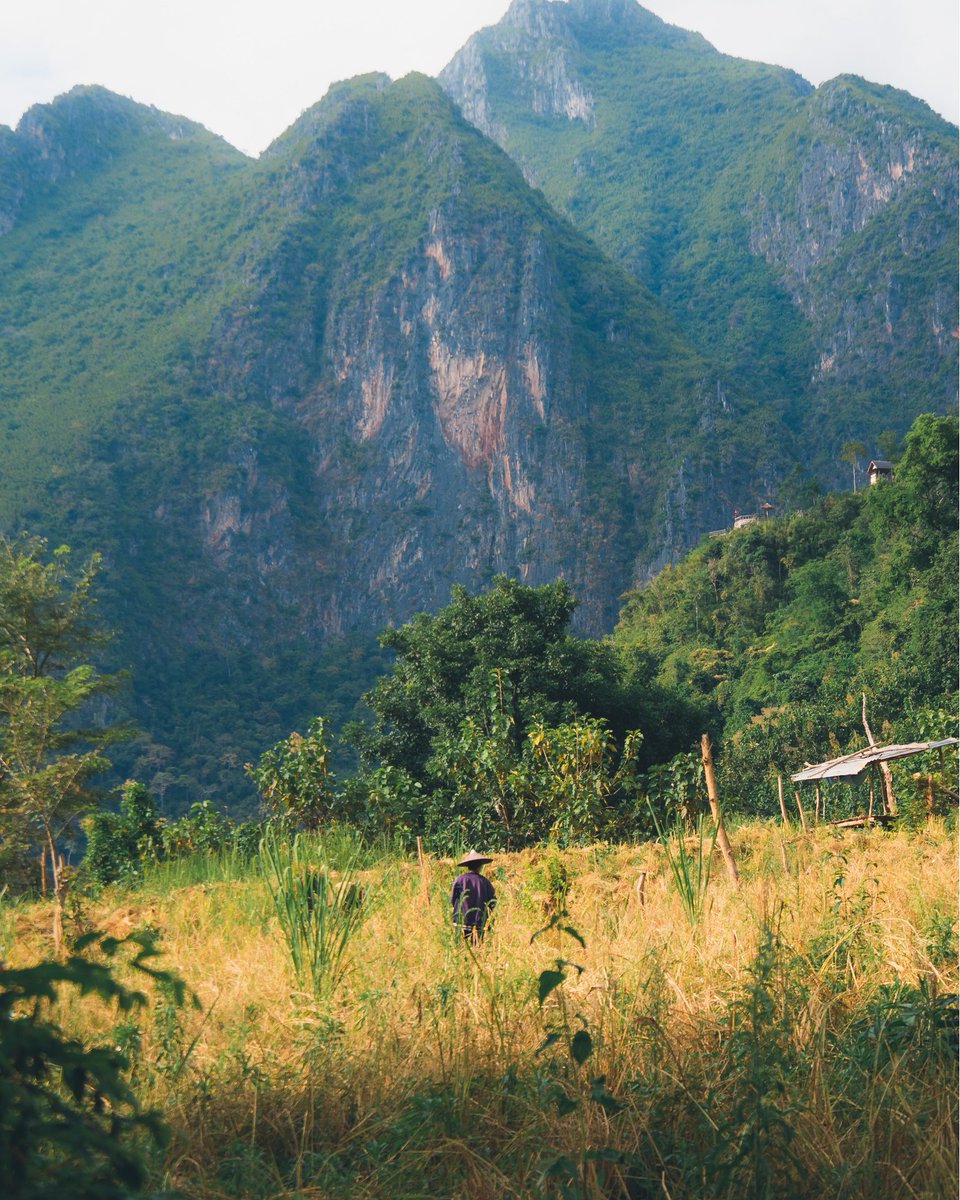 WCapriel's tweet photo. Farmer in the mountains https://t.co/IcsEC66Y5o