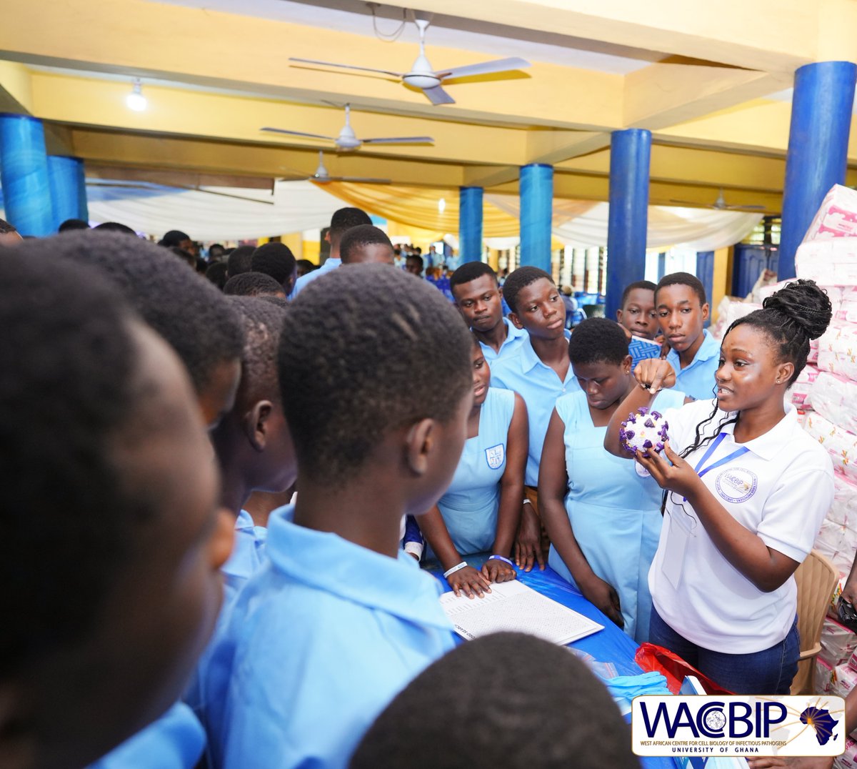 WACCBIP_UG's tweet photo. Students are engaged in practical activities across microscopy, water quality testing, DNA-RNA extraction, rapid diagnostics and biosafety.
#WACCBIP #DELTASAfrica #SHSOutreach #STEMEducation https://t.co/Hnlfc1qNGl