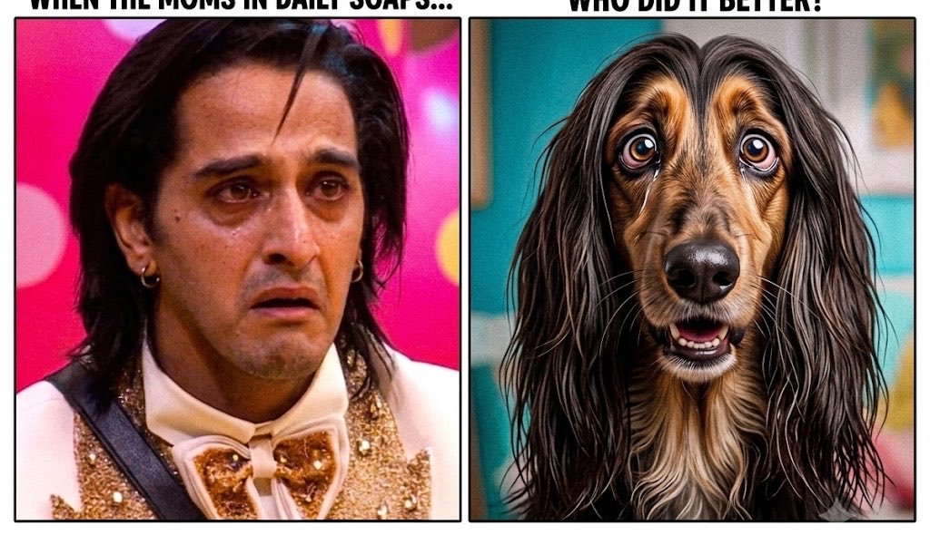 _THECONTRO_AJAZ's tweet photo. Same 2 same 😂😭 https://t.co/bKBlSlMGVw