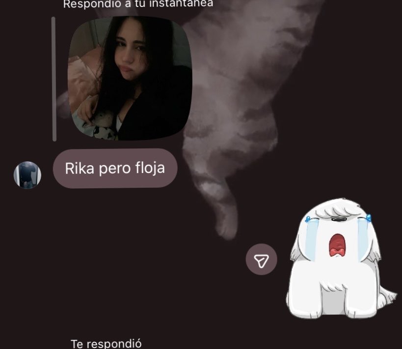 looverr12's tweet photo. Me mata https://t.co/cVnQPdiCl3