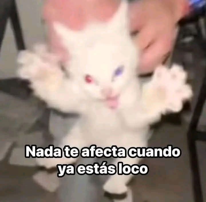 ReSolidSnake's tweet photo. @EsDeMamador **El HDLV https://t.co/4bj22xkjQ6