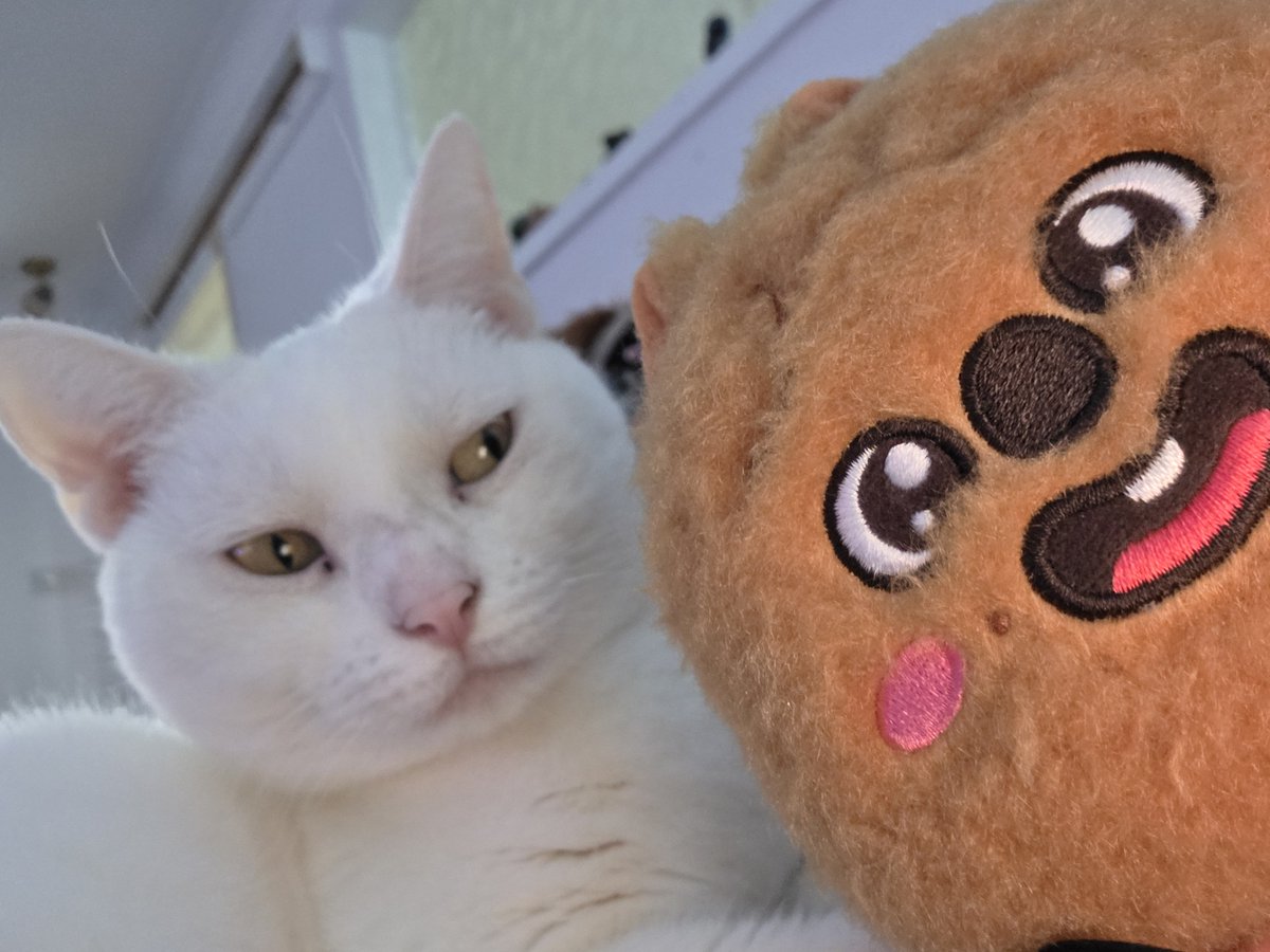 loubit_'s tweet photo. THE SIDE EYE I'M CRYING https://t.co/QoPeA0pBdg