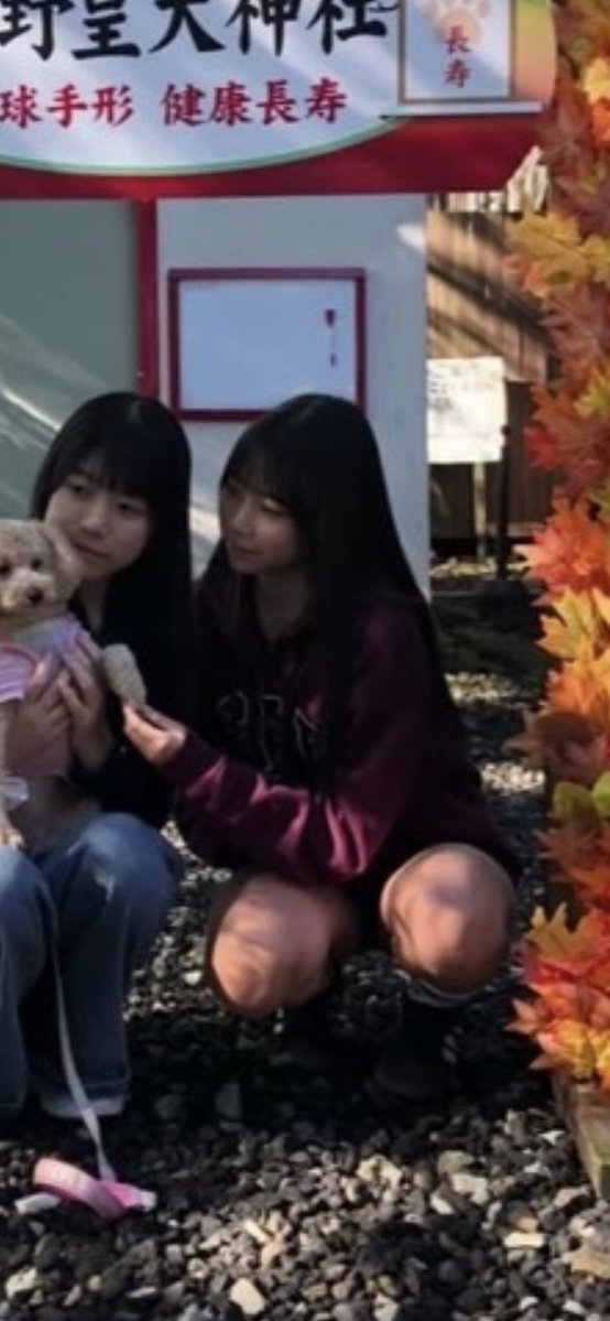 Mduqh's tweet photo. リア友c3💞💞 https://t.co/OQBUs9CfVy