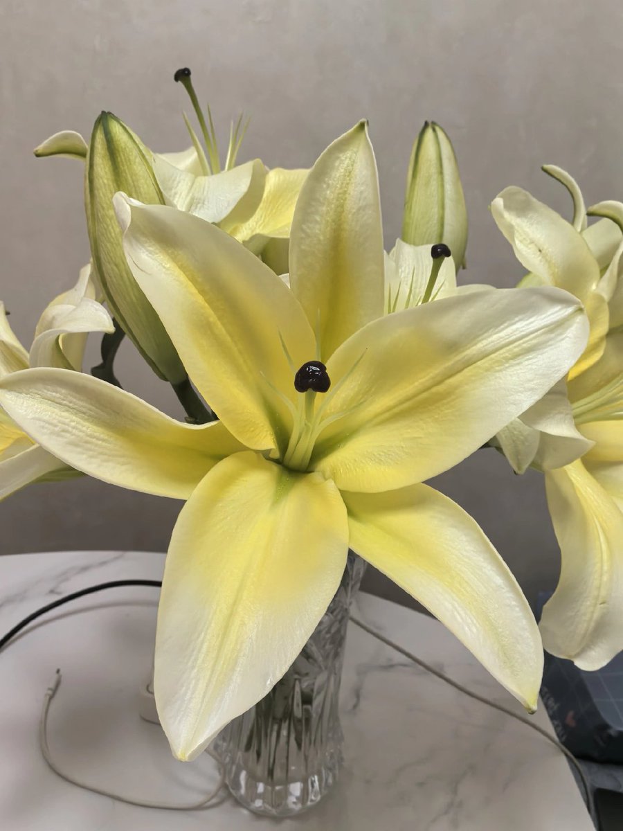 Eternity_LZ's tweet photo. A bouquet of lilies, a sense of serenity. https://t.co/JeMXrxWycd