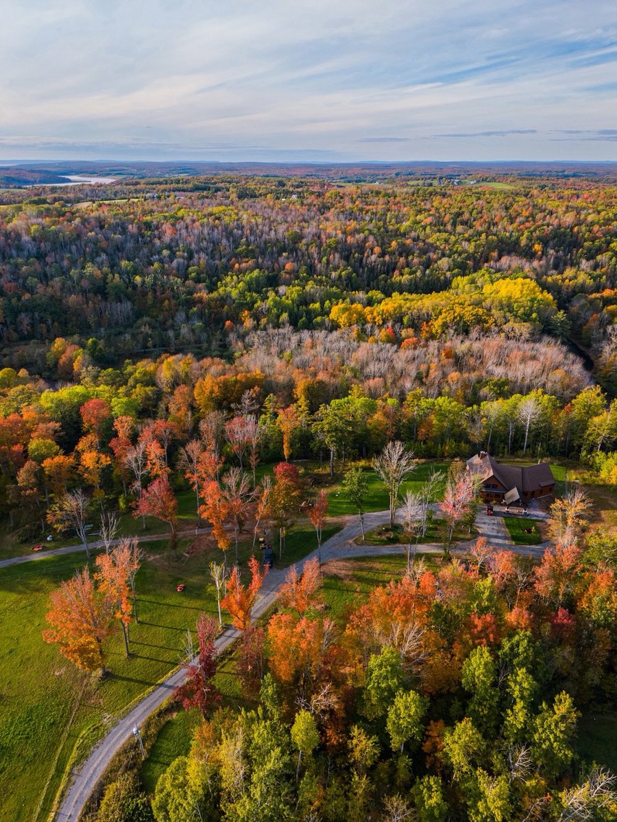 NatureRoot88's tweet photo. 🍁 Autumn has arrived in Brooklyn.. Nova Scotia! 🍂 https://t.co/JdULSELtL1